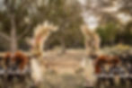 Thumbnail: Open Arch