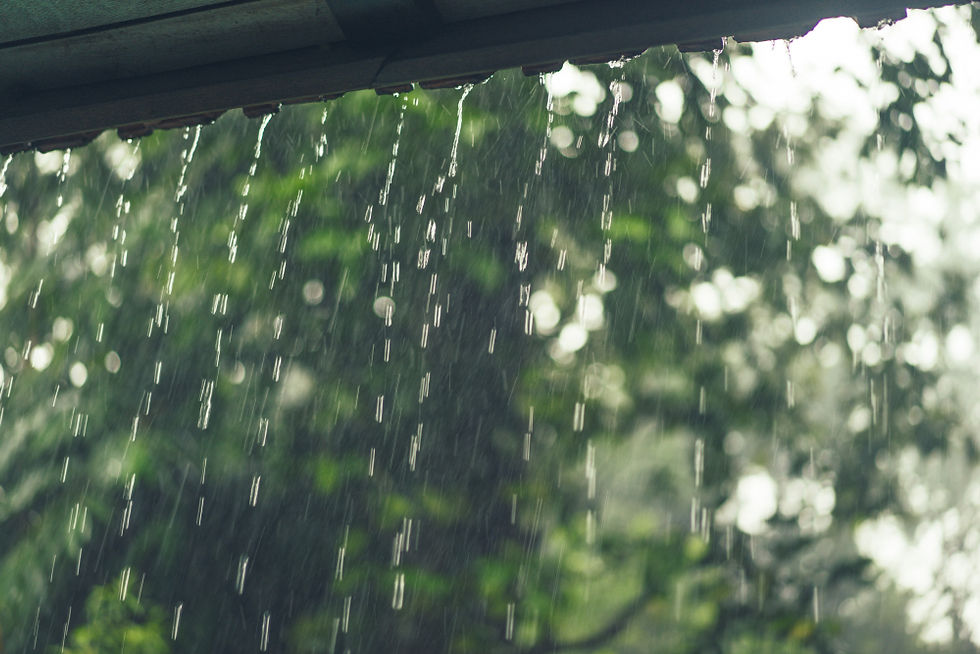 imagem de uma paisagem mostrando um telhado pegando chuva