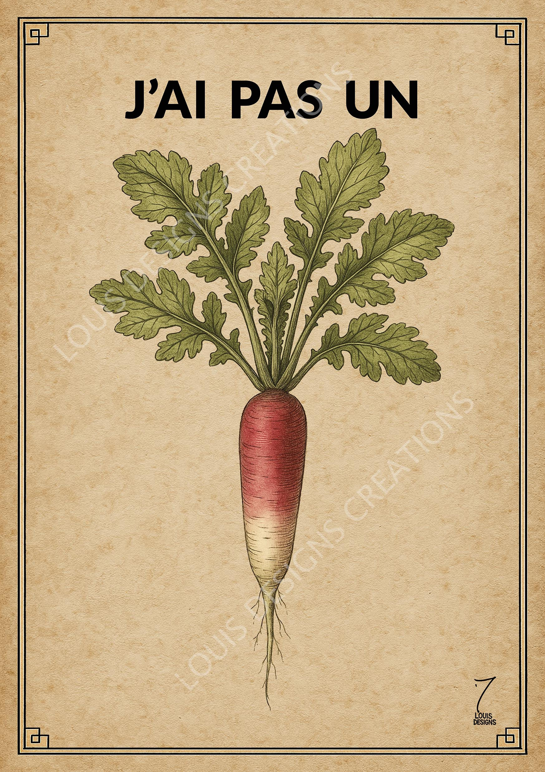 Carte J'ai pas un Radis