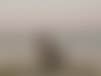 A woman sits serenely on a wooden dock, gazing out at the calm sea under a gradient sky of soft pastels.