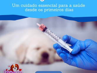 Vermifugação em filhotes: Um cuidado essencial para a saúde desde os primeiros dias!