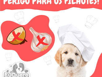 Cuidado com o alho e cebola: Perigo para os filhotes!