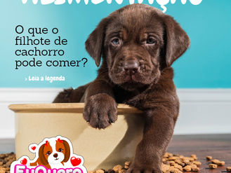 Alimentação: O que o filhote de cachorro pode comer?