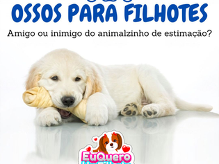 Ossos para filhotes: Amigo ou inimigo do animalzinho de estimação?