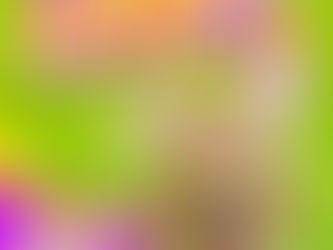 Cuidados na Páscoa: 4 alimentos perigosos para filhotes