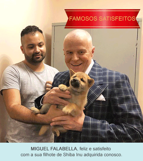 Famosos satisfeitos