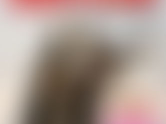 Basset Hound: 10 características para se apaixonar por esse filhote!