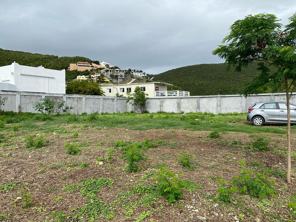 Land SXM Tamarind Hill Lot 7