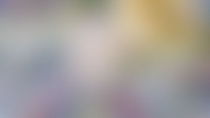 Extra kosten kopen Eigendom Aruba, Bonaire & Curacao