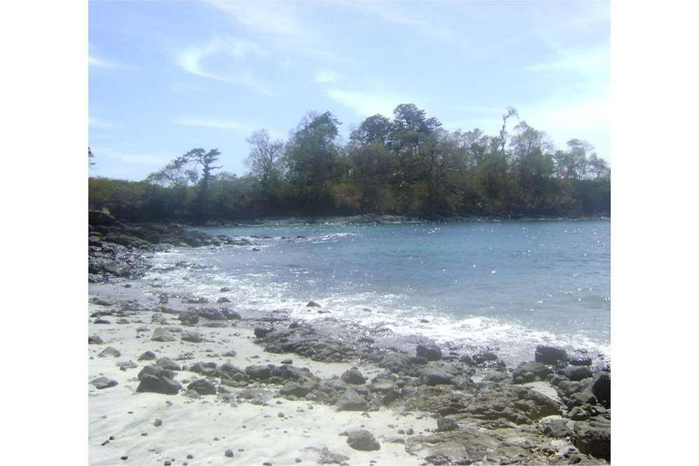 Thumbnail: Isla Panama Chiriqui