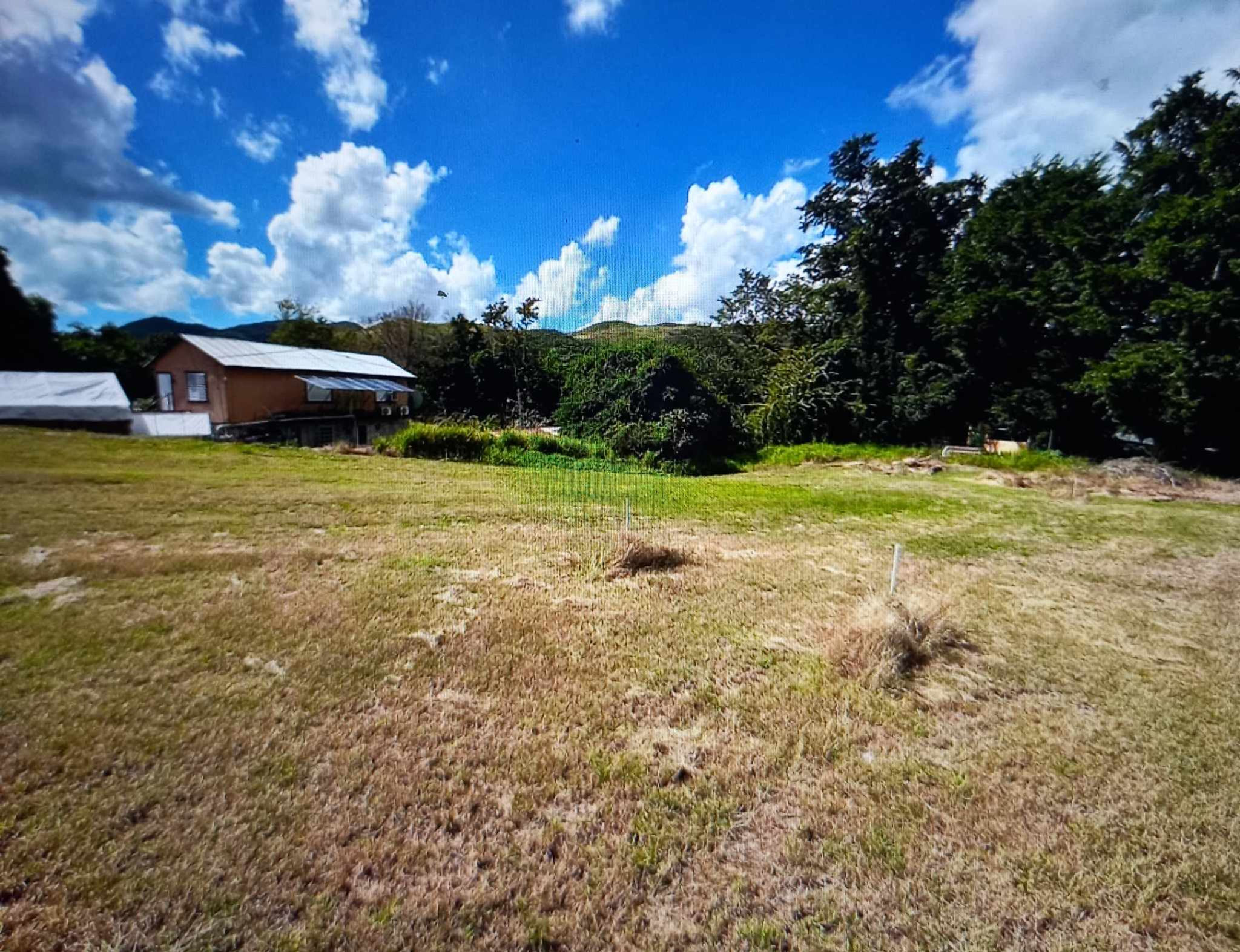 Terreno Puerto Rico Coamo