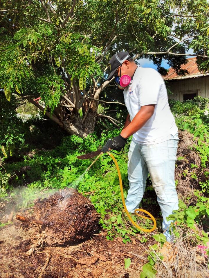 Thumbnail: Speedy Pest Control