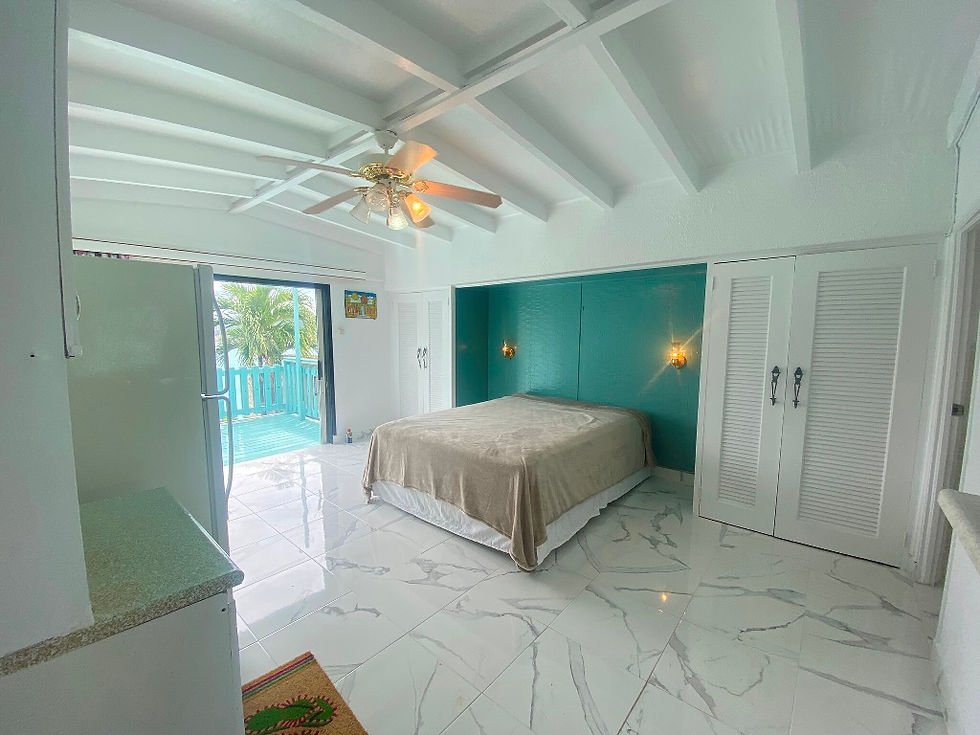 Thumbnail: Studio SXM Little Bay