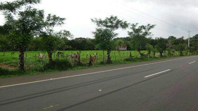 Thumbnail: Terrenos Panama Carretera David-Boquete