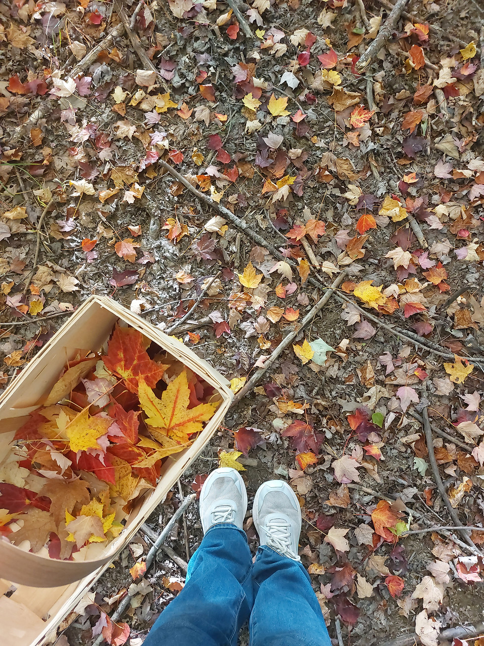 Thumbnail: Autumn Leaf Trays