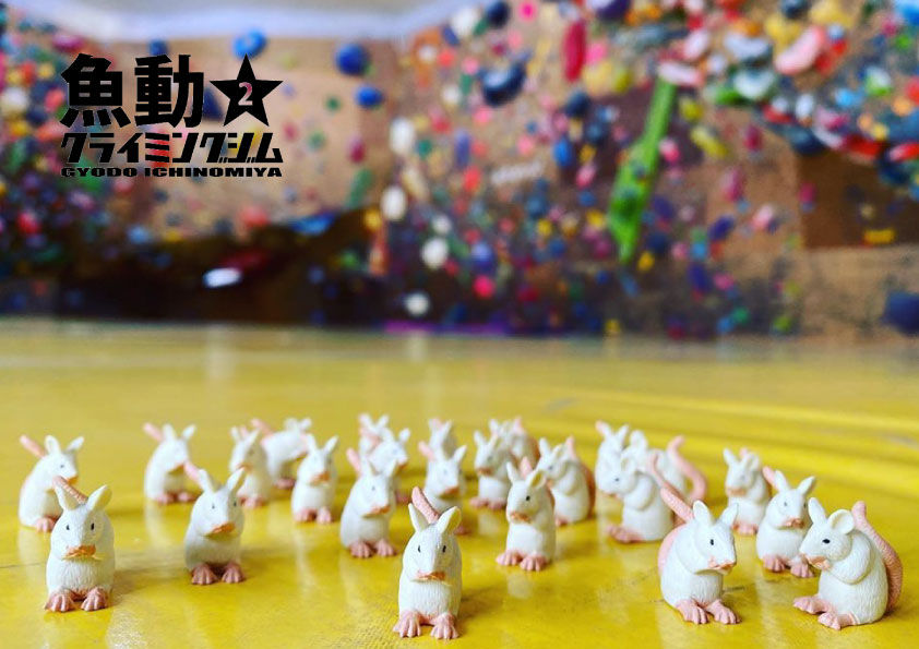 ネズミ年