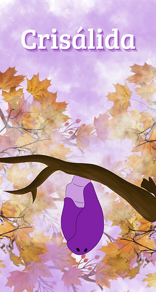 Fase Crisálida.png