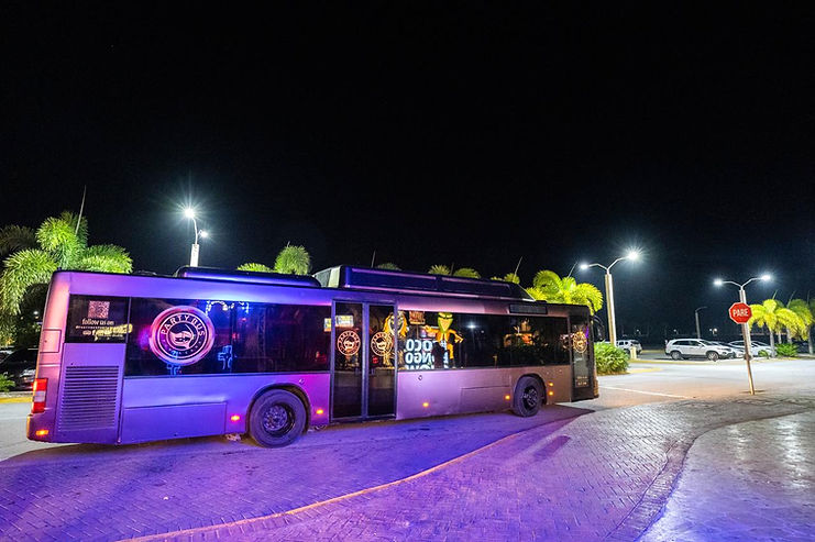 punta-cana-vip-transportation-party-bus