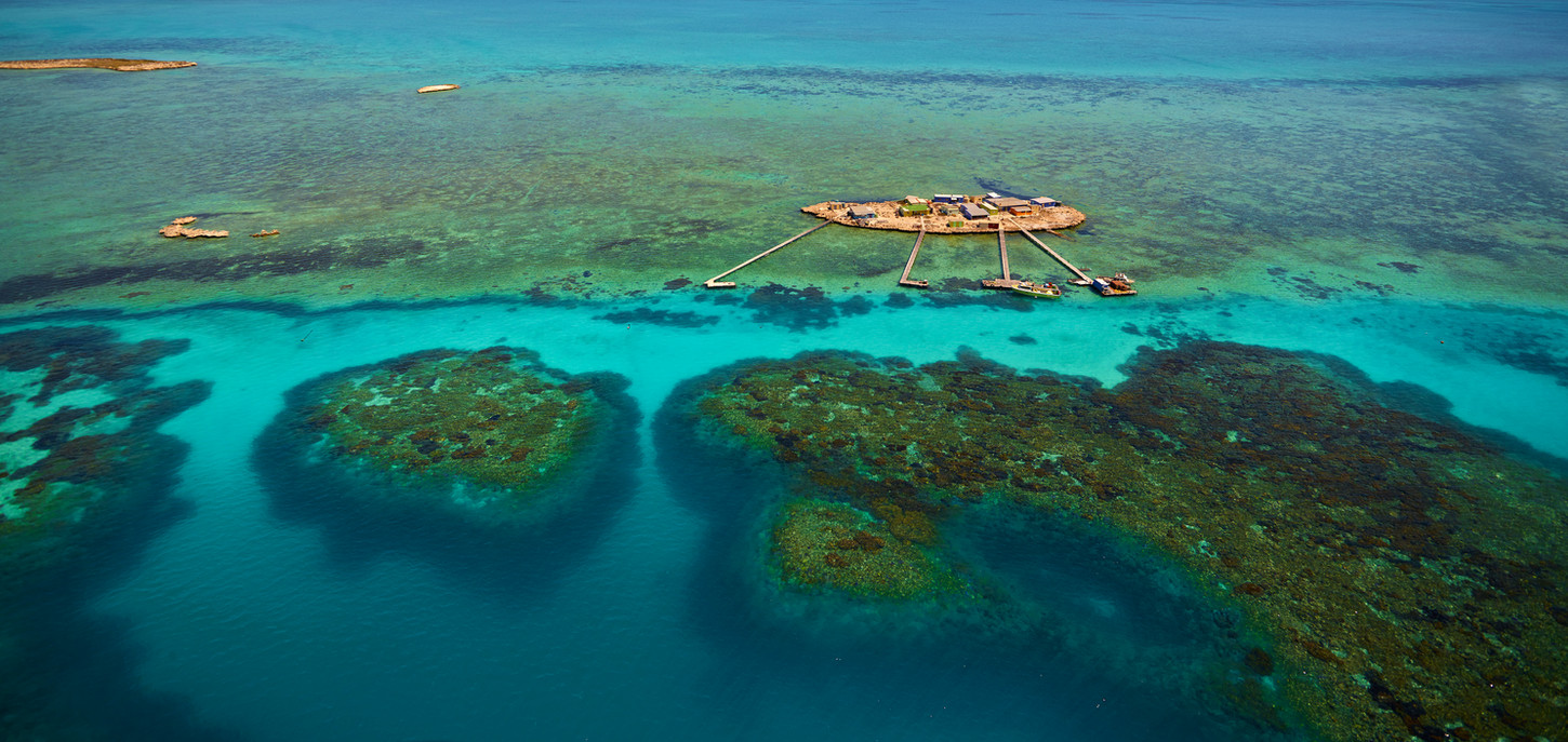 CF007550 Abrolhos.jpg