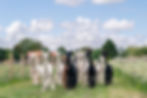 Adopt an Alpaca- Gold Package