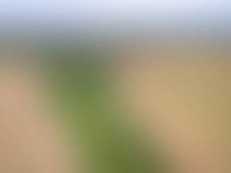 Applying Jules David Prown’s Mind in Matter to the Story of Grain and Trade