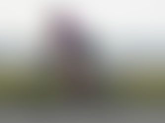 Ottawa Ironman: Coach Cindy’s Thoughts on How to Approach Race Day