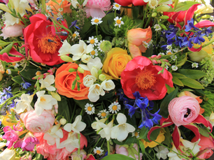 Spring Flowers