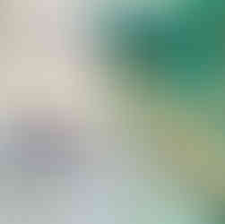 Tamiya Brewster Buffalo