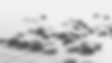 GIBARU PROJECTS Agency - Webiste - About.png
