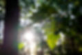 44---DSCF9334-1500px.jpg