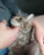 20251011_163511 (1)_edited.jpg