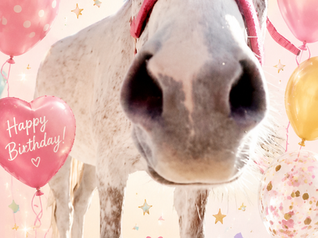 6/11 カムイのお誕生会のお知らせ🎉