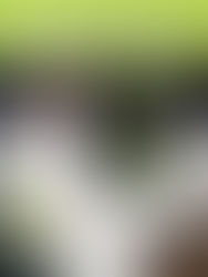 【メディア掲載】プレジデントウーマン5月号