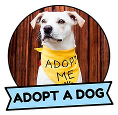 adoptadog.png