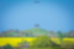 Burrow Mump