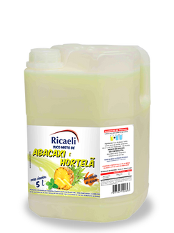 Abacaxi e Hortelã 5 litros