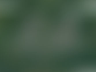 COMMENTARY: Nova Scotia’s renewable energy plans must not damage critical ecosystems like Wentworth