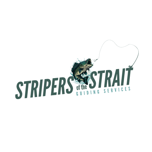 Atlantic salmon fishing packages — Stripers of the Strait – Stripers of the Strait