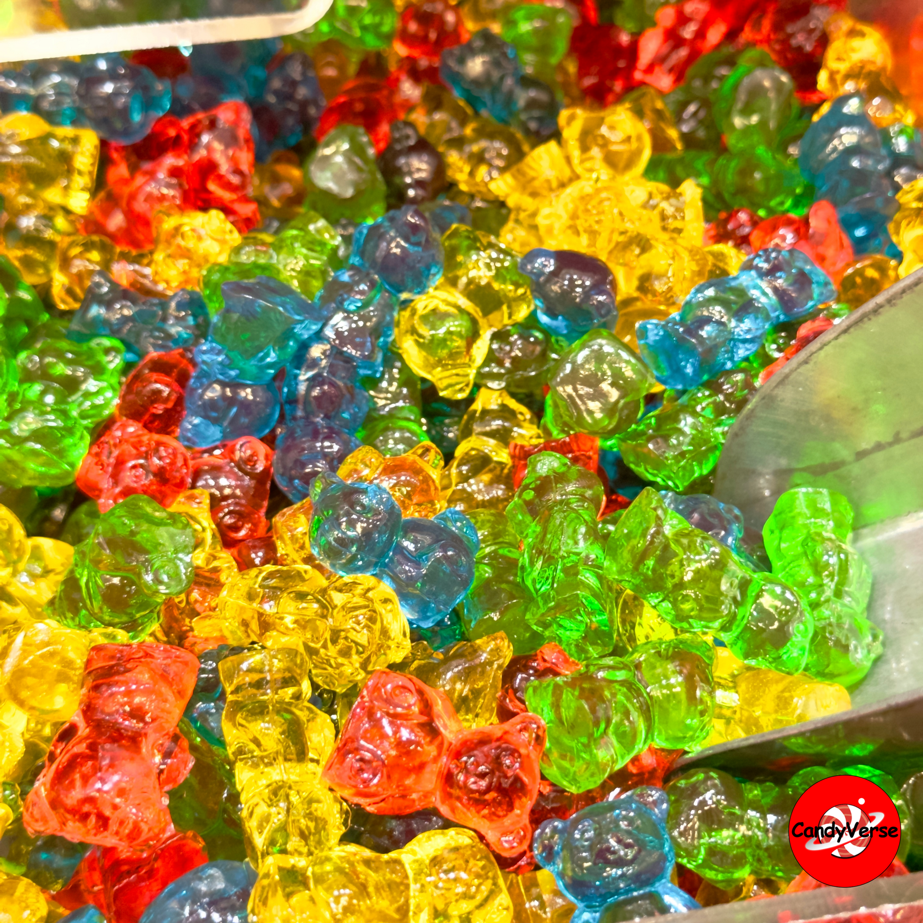 4D Gummy Bears in bulk