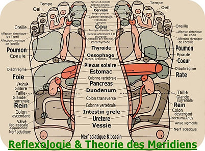 Réflexologie plantaire