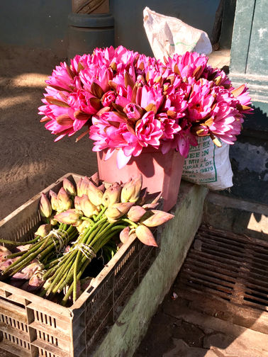 Voyage en Inde | Marché | Marie-Luce Frenette