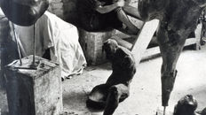 Fotografia z szuflady (kilka słów o Alinie Szapocznikow)