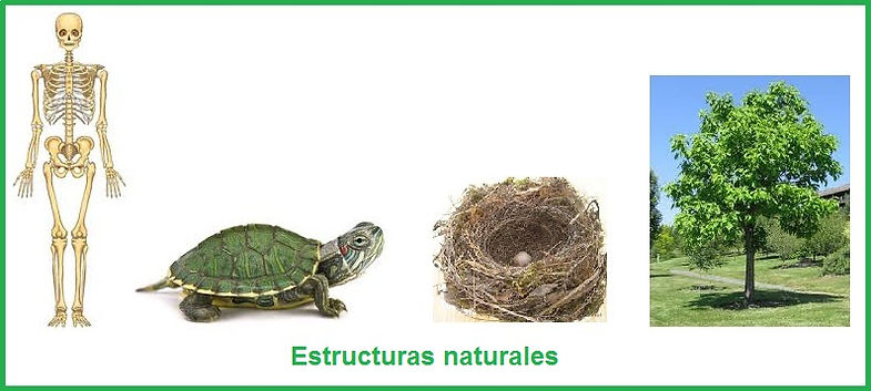 estructuras_naturales1.jpg