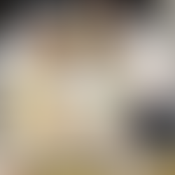 トライフォース香椎グランドオープン入会キャンペーン