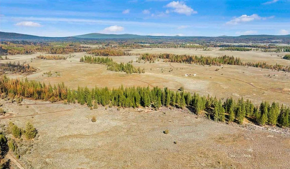 Thumbnail: Gorgeous 1+ Acre Vacant Lot in Klamath! Easy Owner Financing