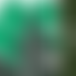 Rei do Inbox ou Mais Uma Newsletter na Caixa de Spam?