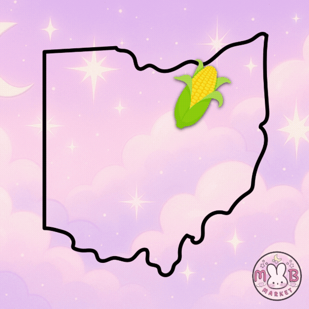 saddest kawaii ohio where no one should ever be/corn