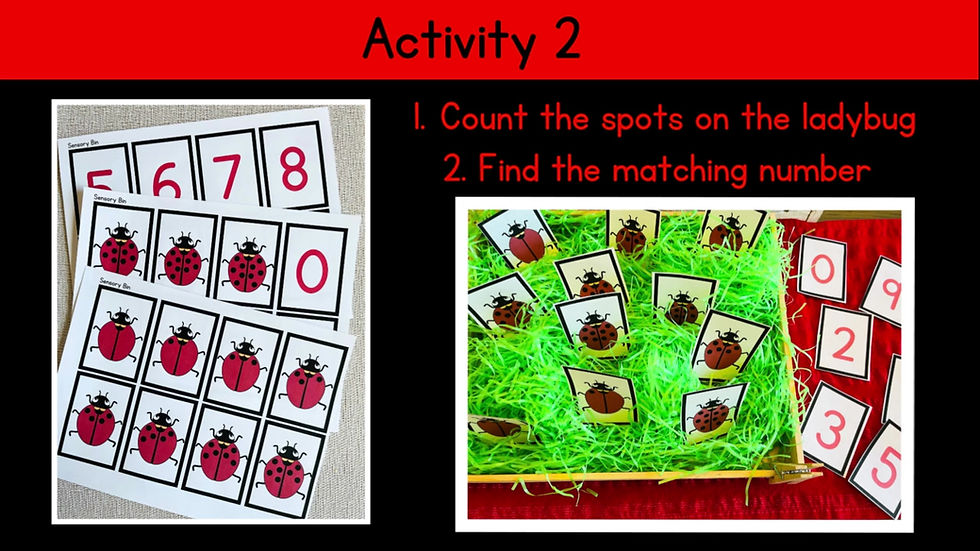 Thumbnail: Ladybug Math Activities