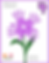 Thumbnail: Number Keepsake Book
