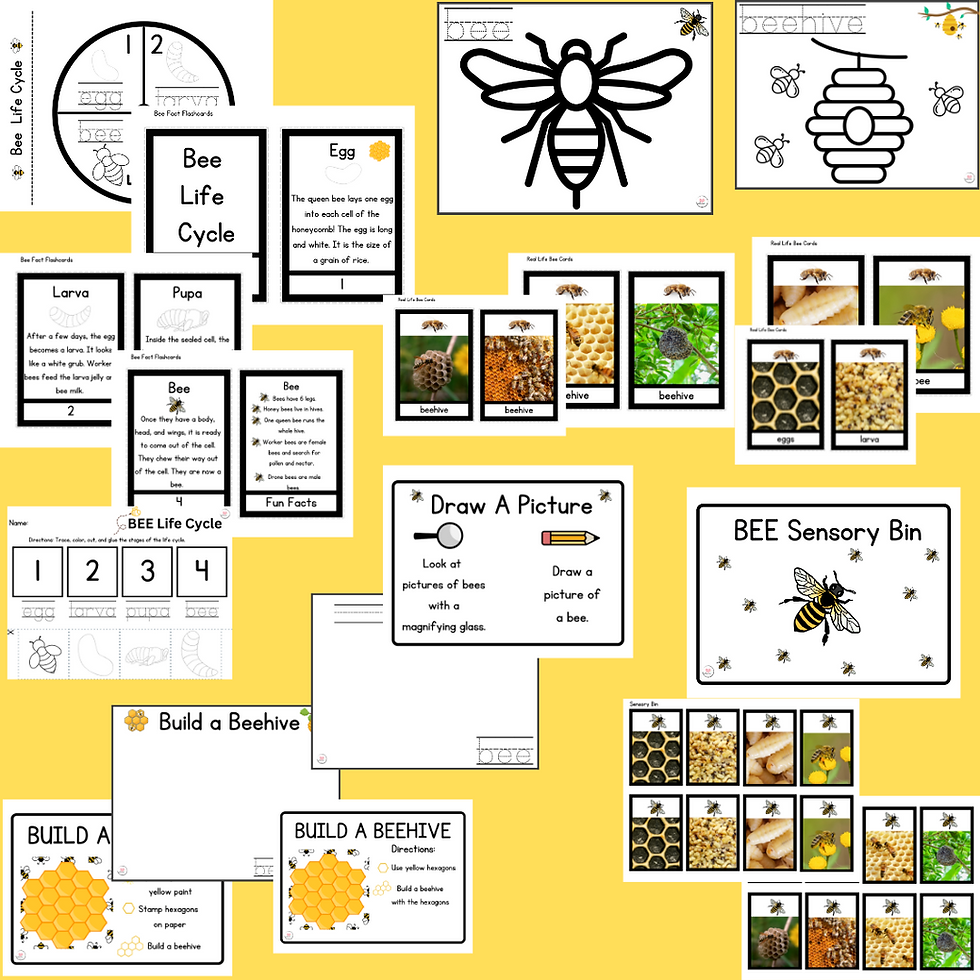 Thumbnail: Bee Science Bundle, Insects
